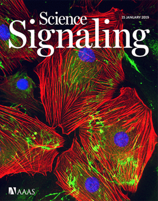 science signalling journal cover