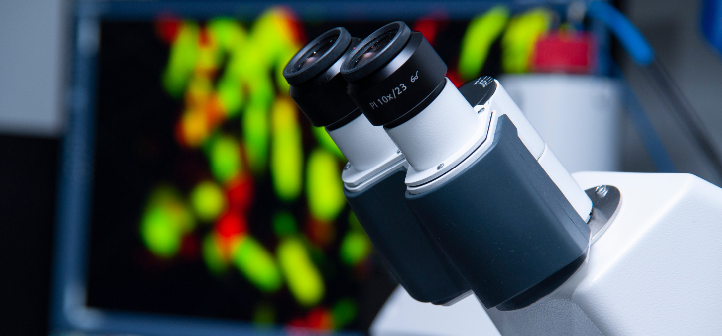 microscope in the lab