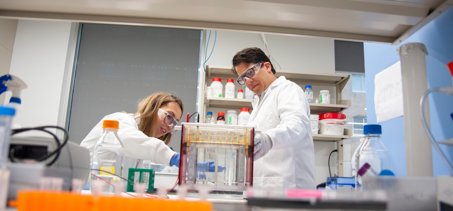 Researchers in the lab