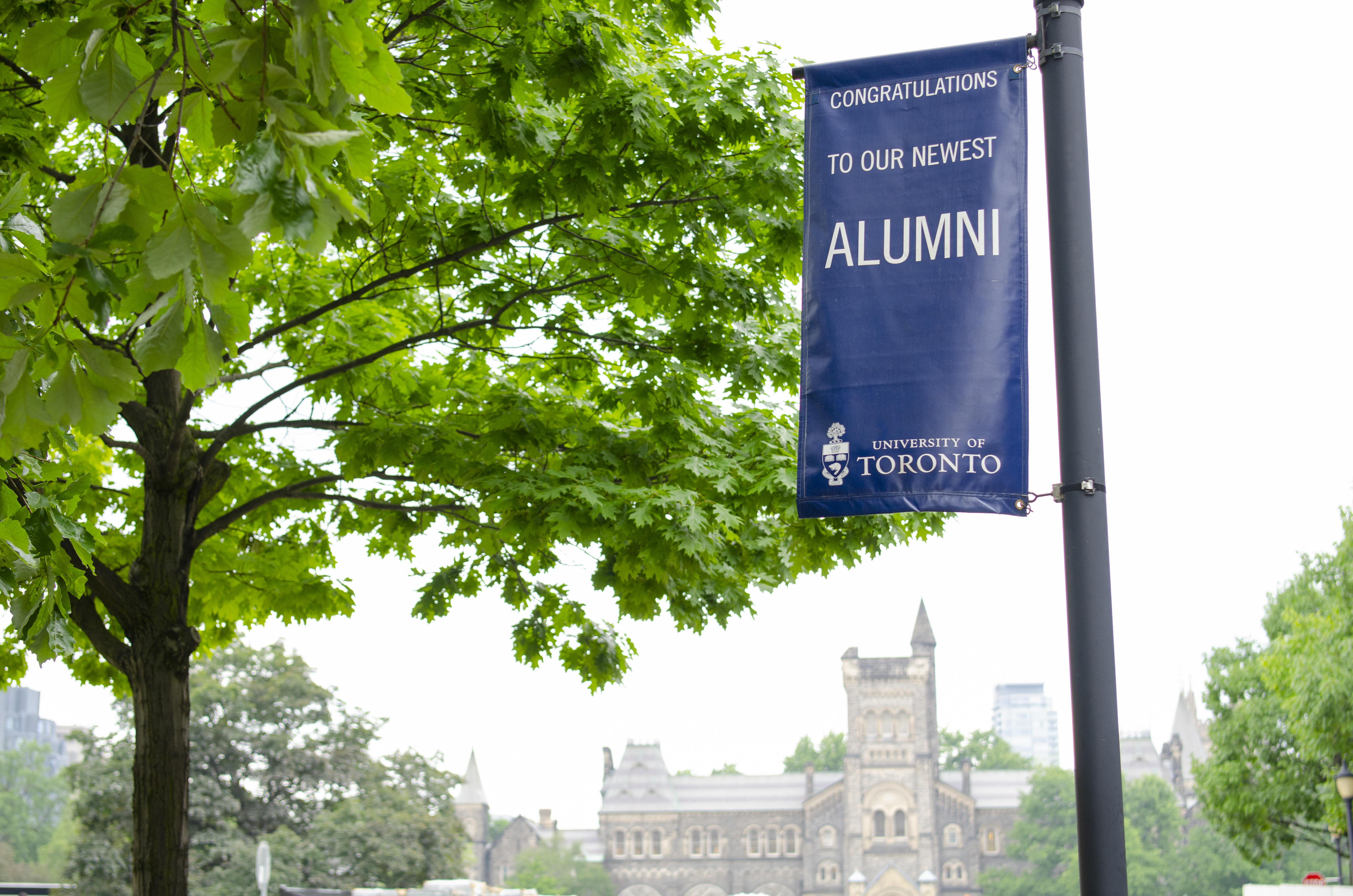 Flags celebrating graduates at the University of Toronto