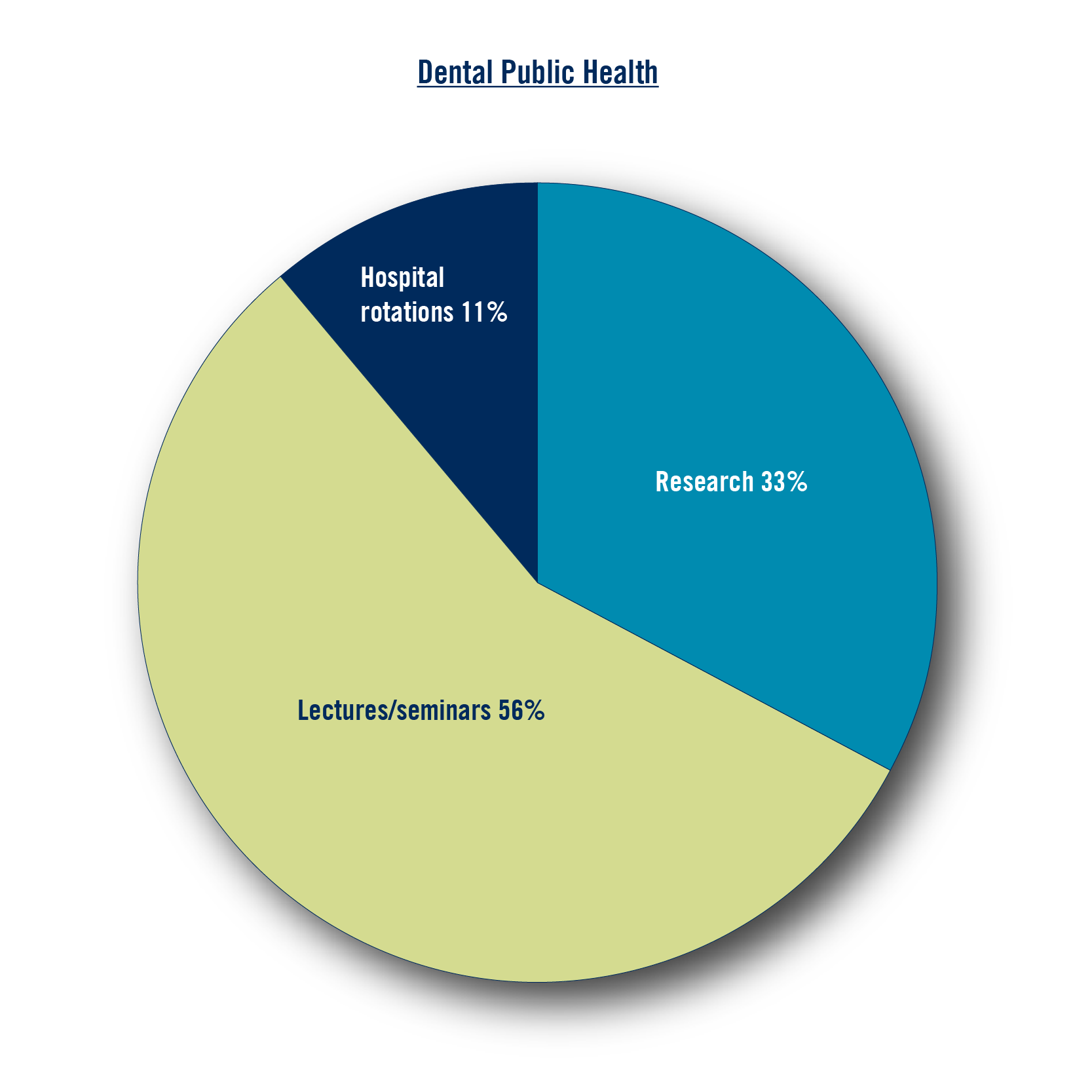 Research: 33%, Lectures/seminars 56%, Placements/rotations 11%