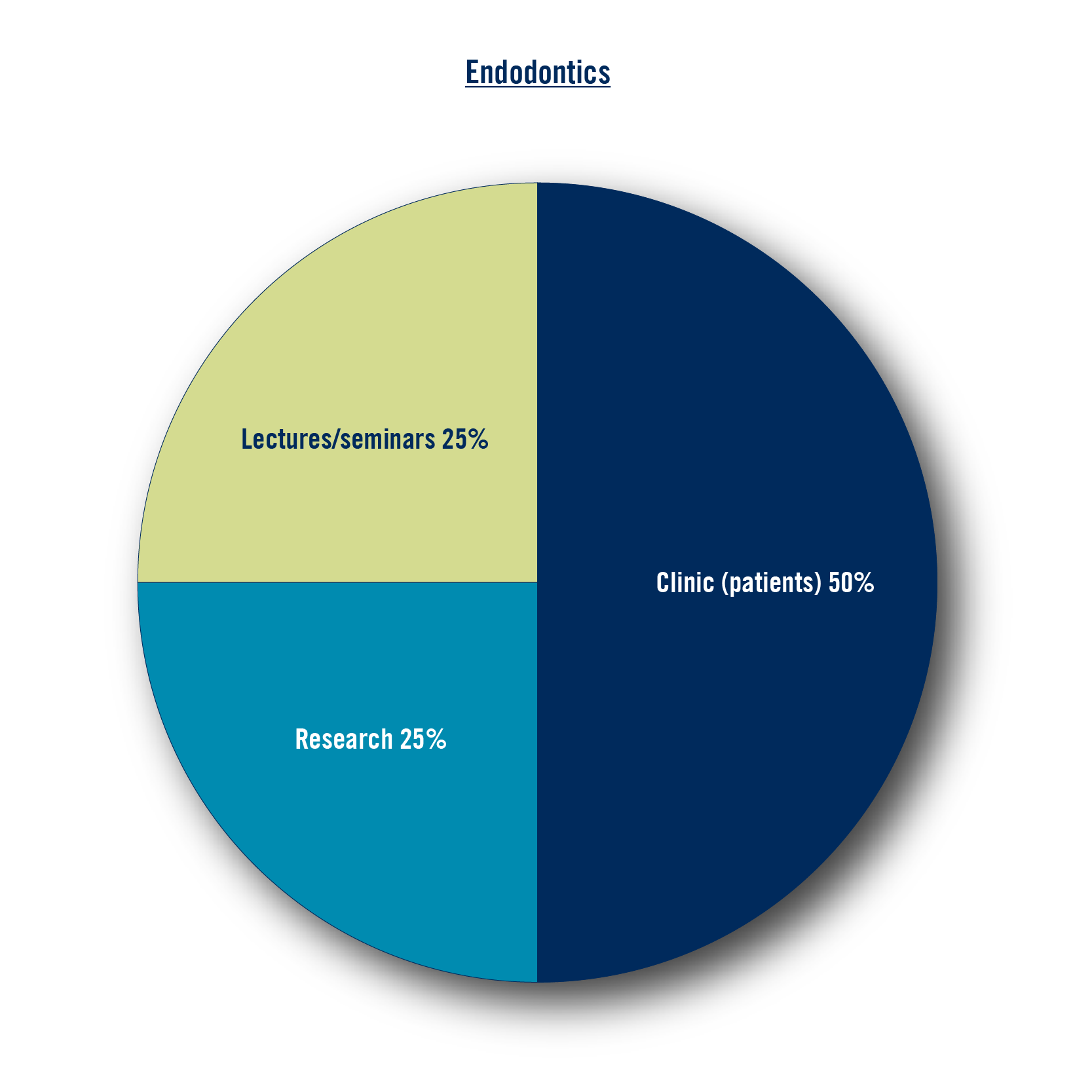 Research: 25%, Clinic (patients) 50%, Lectures/seminars 25%