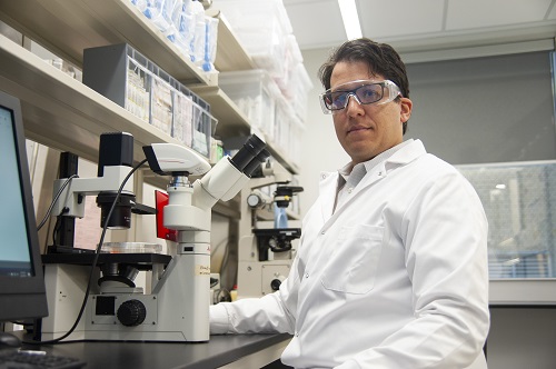 Dr. Marco Magalhaes in the oral pathology lab.