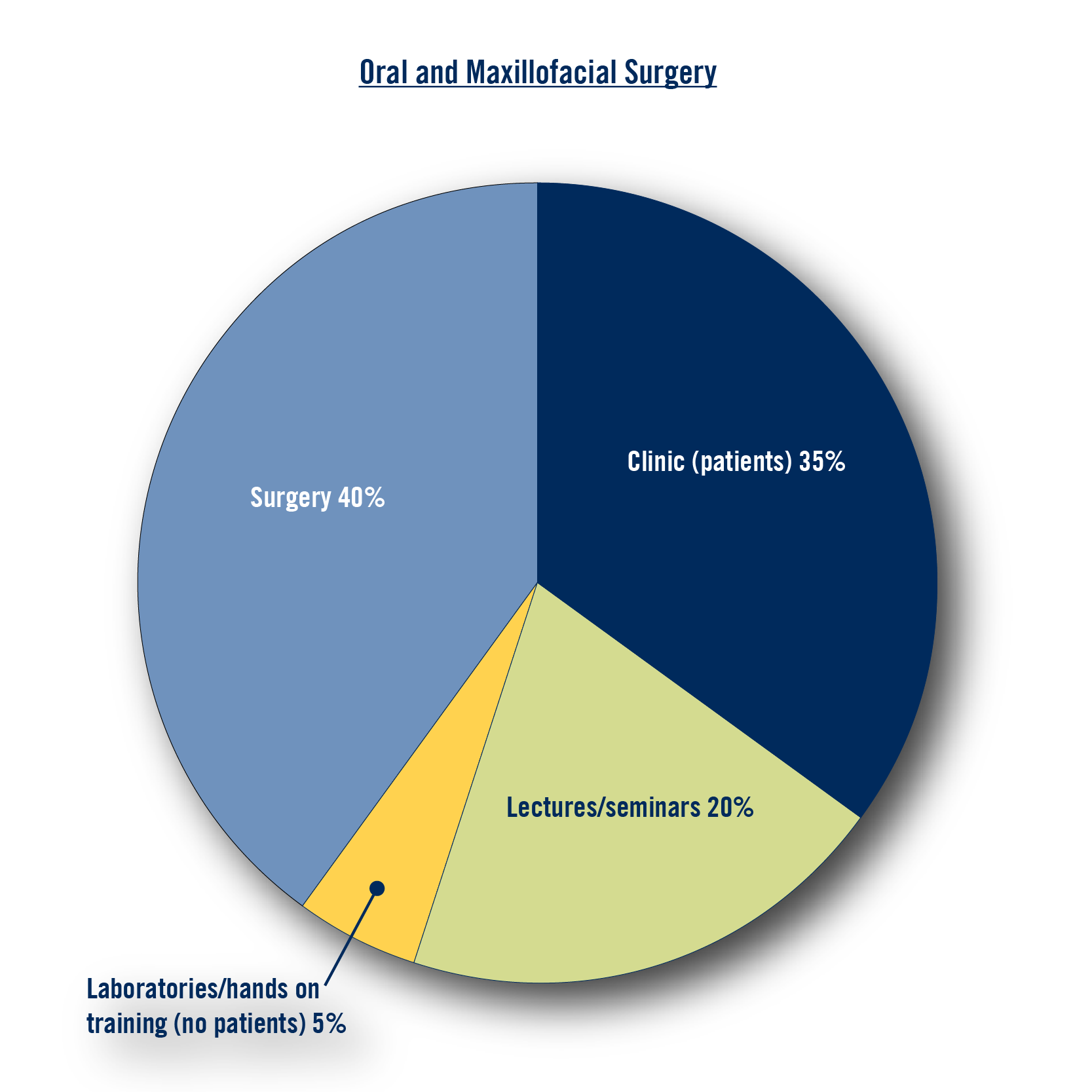 Clinic (patients) 35%, Lectures/seminars 20%, Laboratories/hands on training (no patients) 5%, Surgery 40%