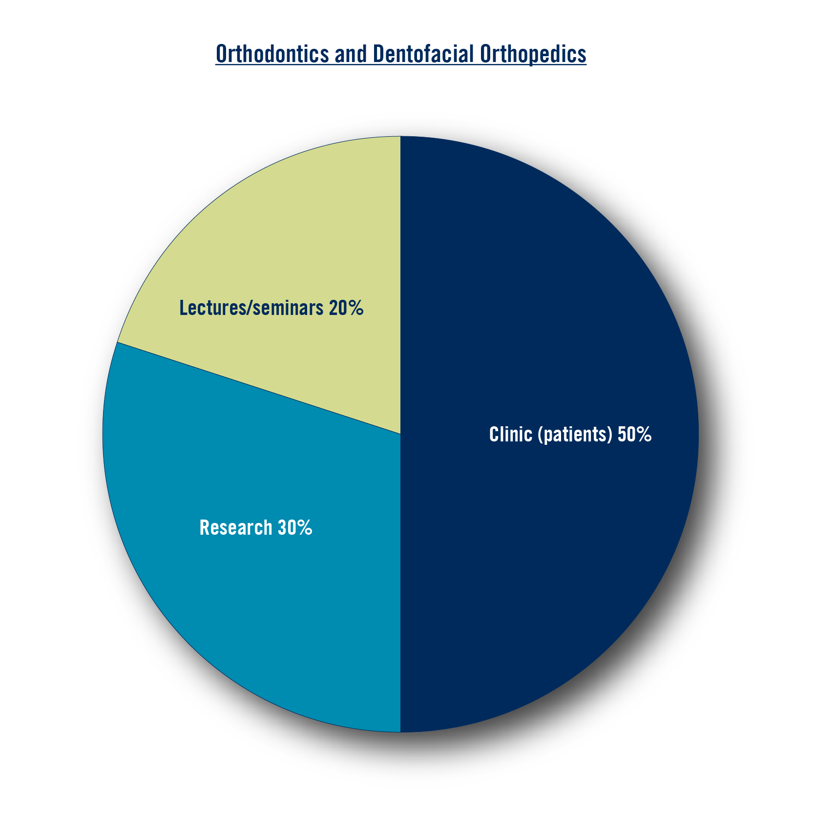 Research: 30%, Clinic (patients) 50%, Lectures/seminars 20%