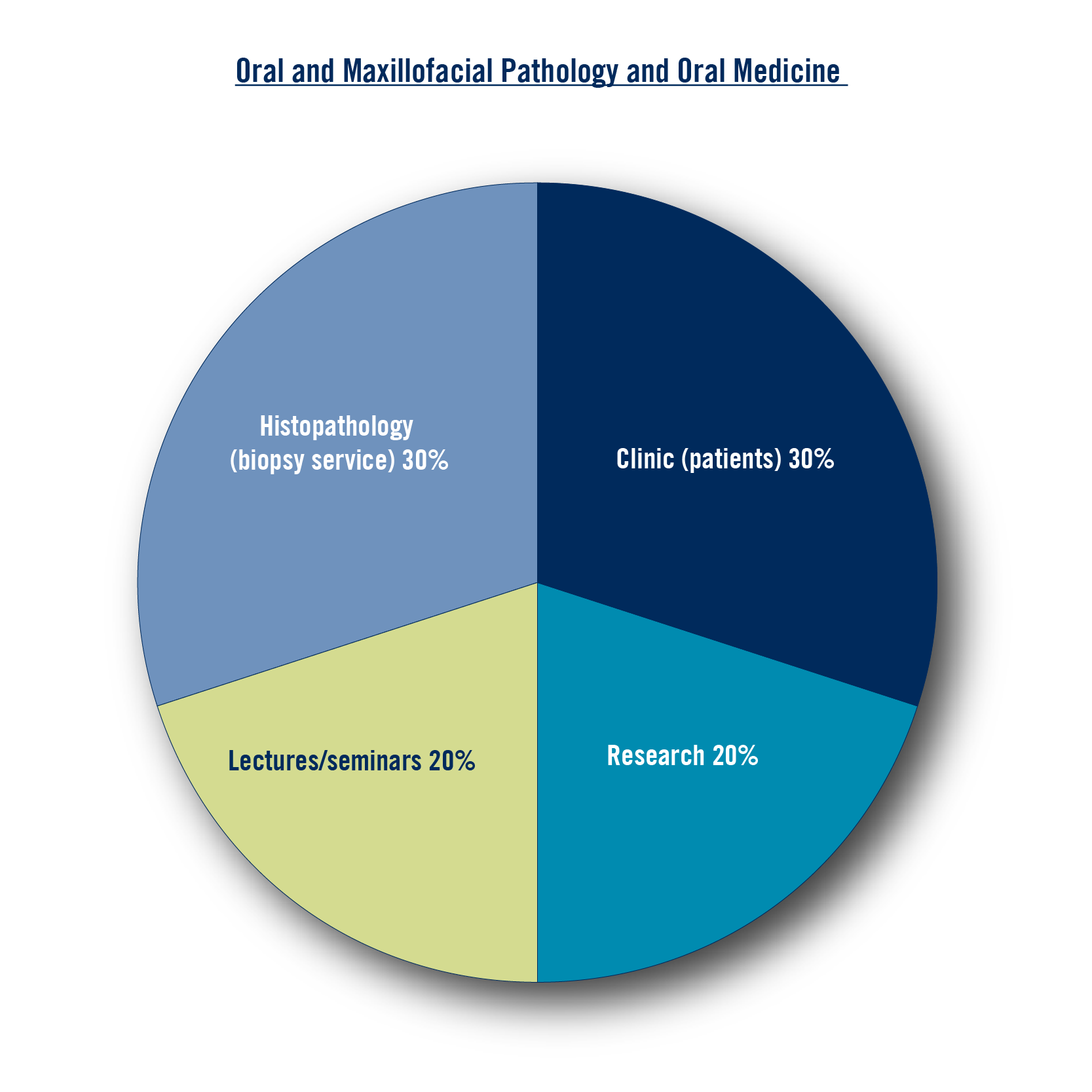 Research: 20%, Clinic (patients) 30%, Lectures/seminars 20%, Histopathology (biopsy service) 30%