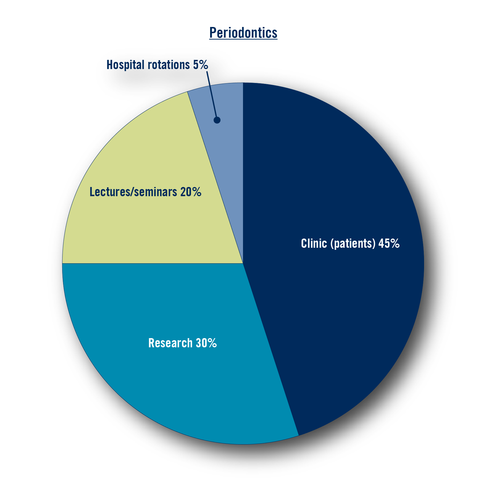 Clinic (patients) 45%; research 30%; lectures/seminars 20%; hospital rotations 5%