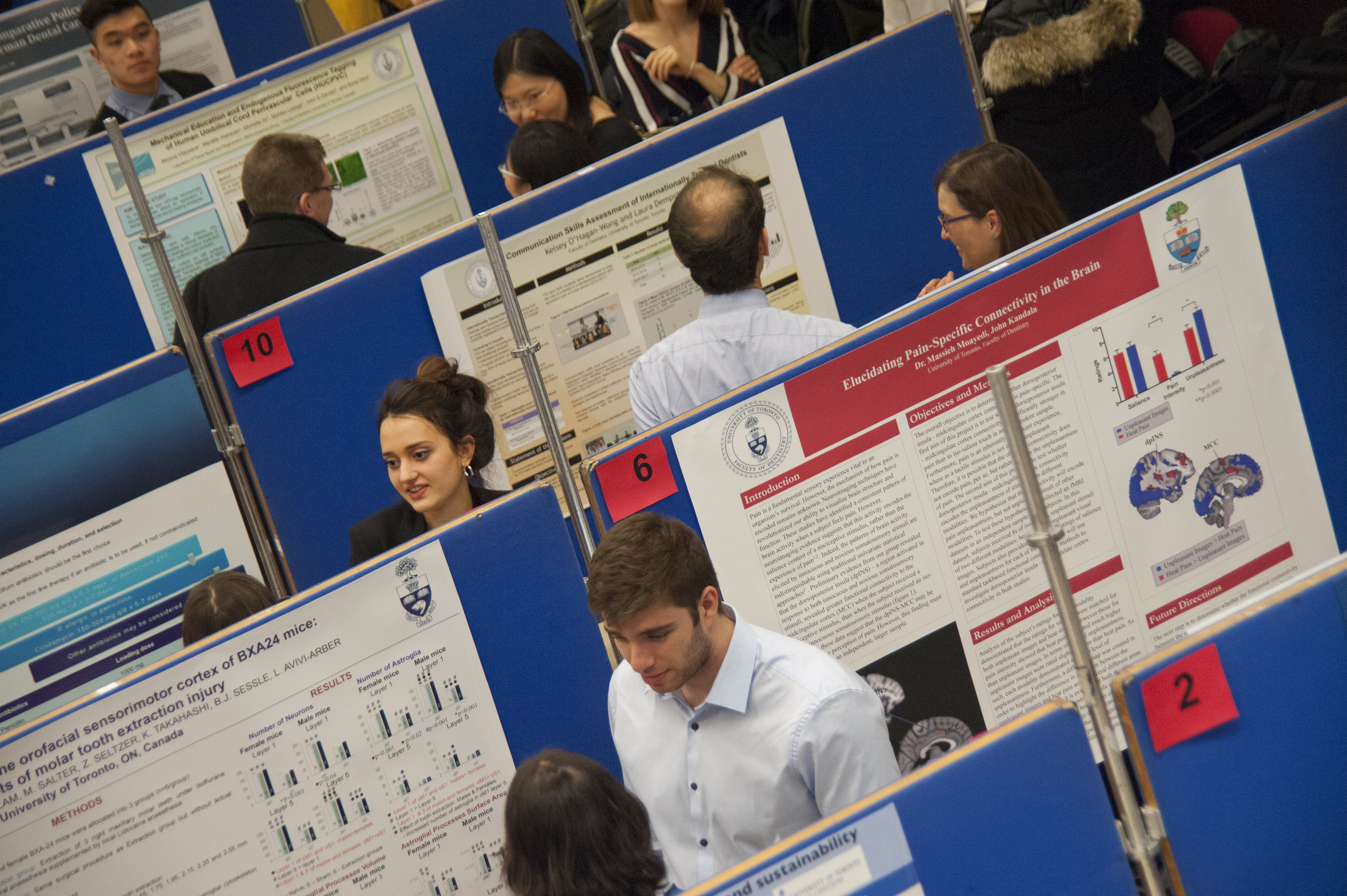 research day