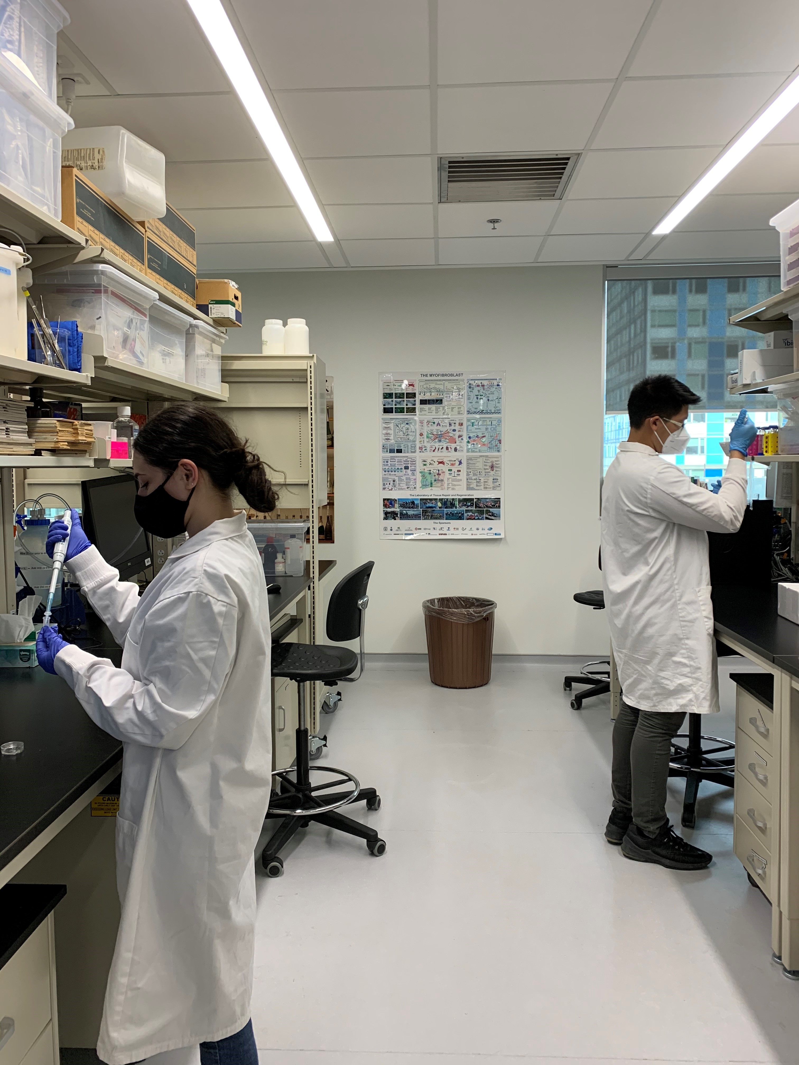 Summer students in the research lab