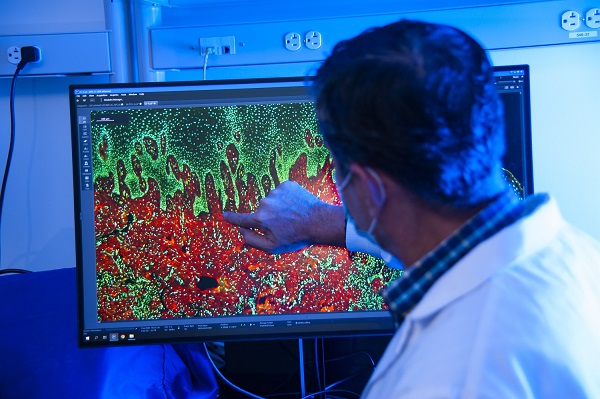 Aiman examining a gingival tissue stained with immunofluorescence, digitized and imaged with the Zeiss AxioScan slide scanner.