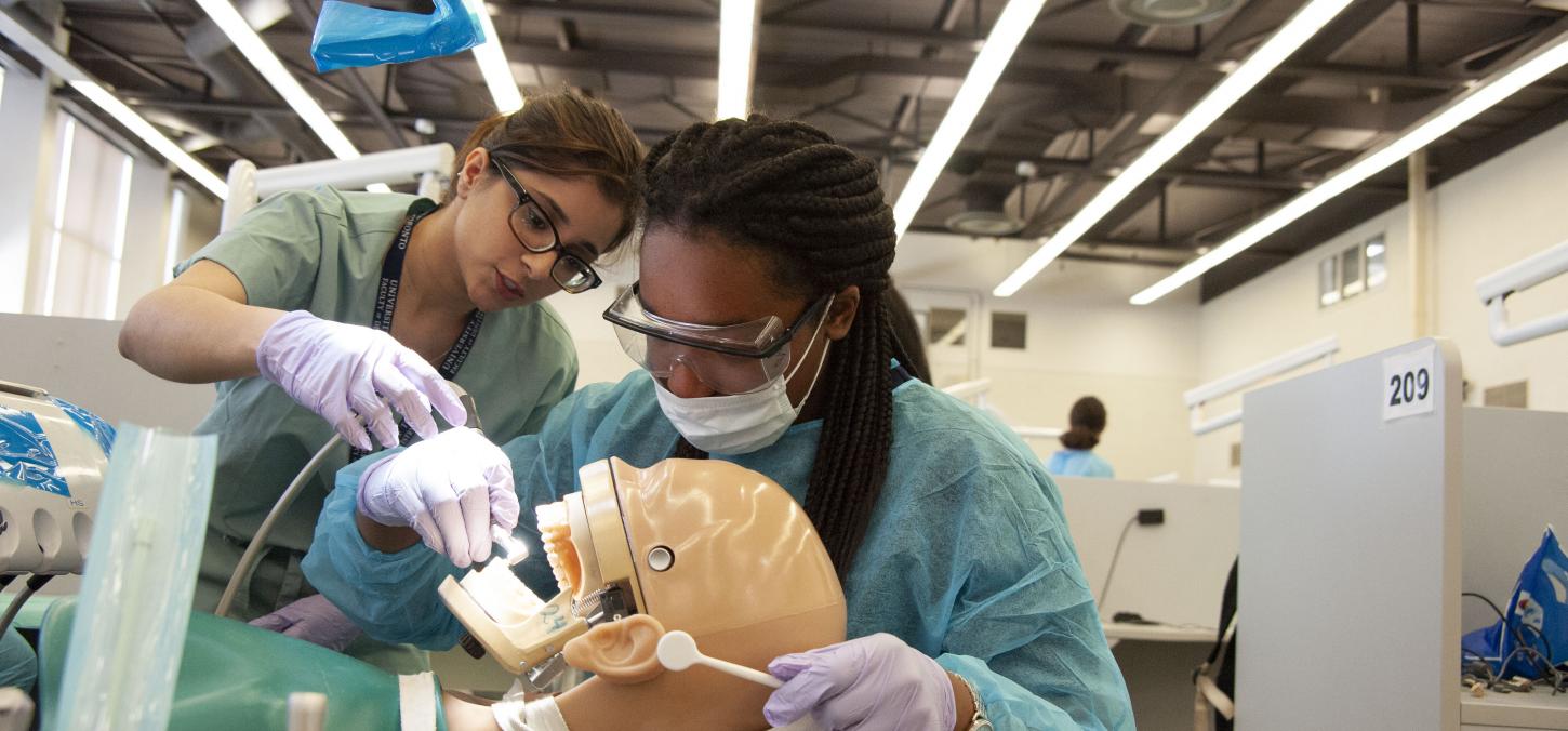 High School Students Visit Dentistry
