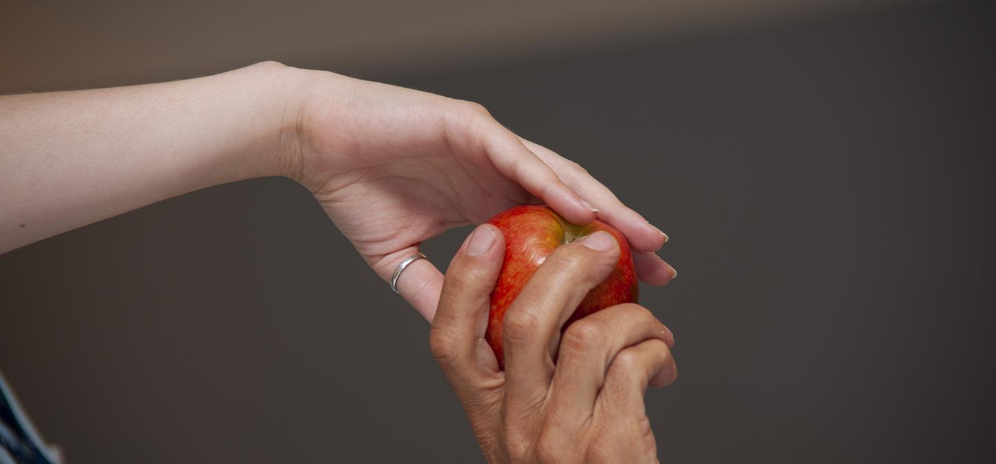 two hands come together to grip a red apple