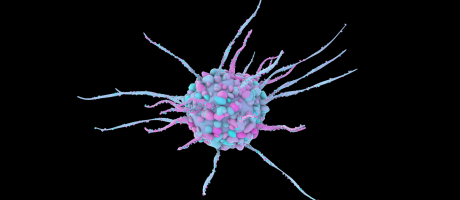 Dendritic cell, computer illustration. A dendritic cell is a type of white blood cell. It is an antigen-presenting cell (APC), which presents antigens to T lymphocytes.